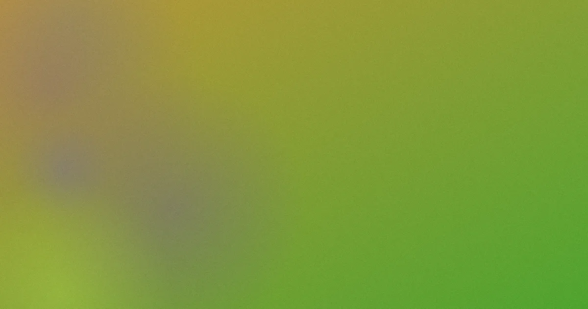 王松测评：五个坑别踩